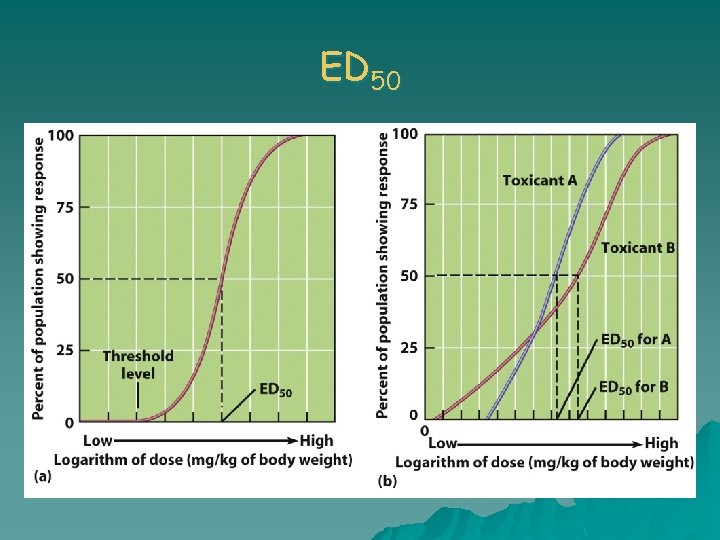 ED 50 