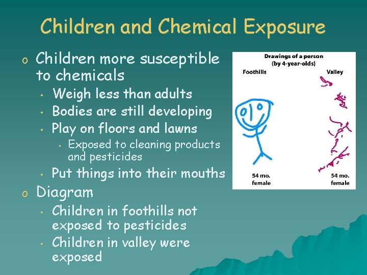Children and Chemical Exposure o Children more susceptible to chemicals • • • Weigh