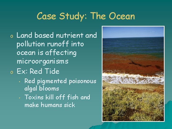 Case Study: The Ocean o o Land based nutrient and pollution runoff into ocean