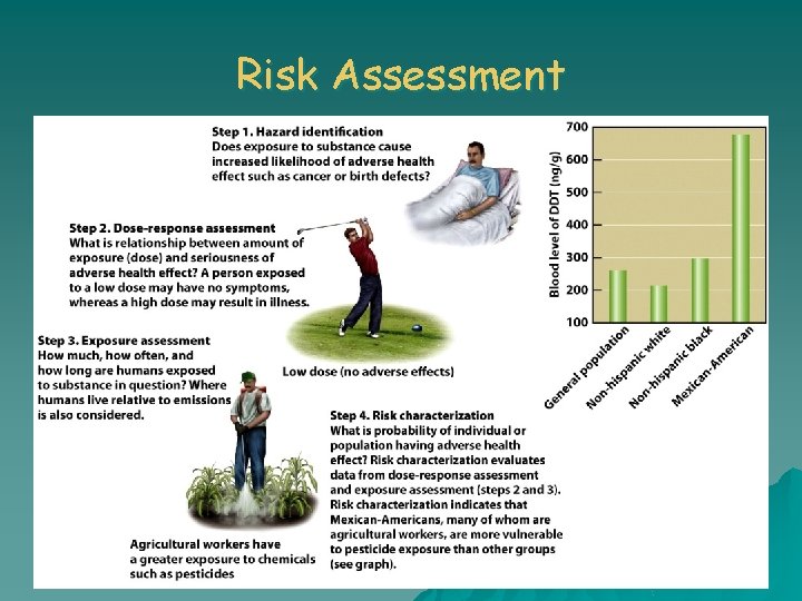 Risk Assessment 