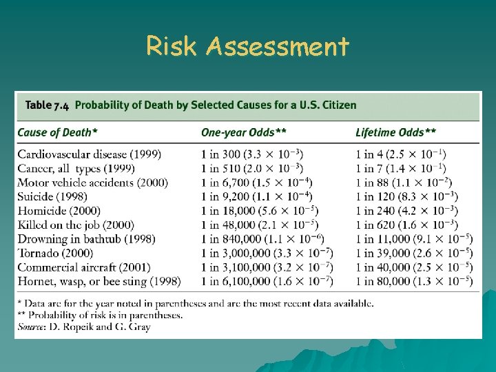 Risk Assessment 