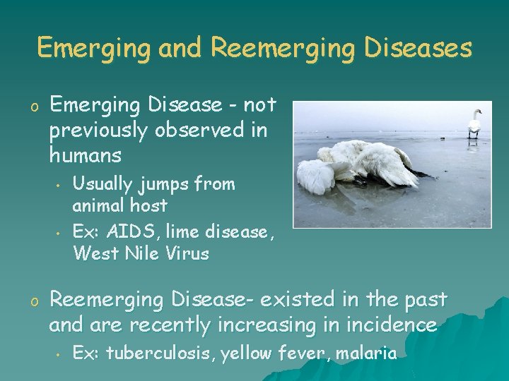 Emerging and Reemerging Diseases o Emerging Disease - not previously observed in humans •