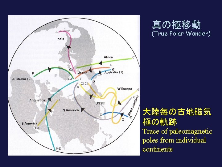 真の極移動 (True Polar Wander) 大陸毎の古地磁気 極の軌跡 Trace of paleomagnetic poles from individual continents 
