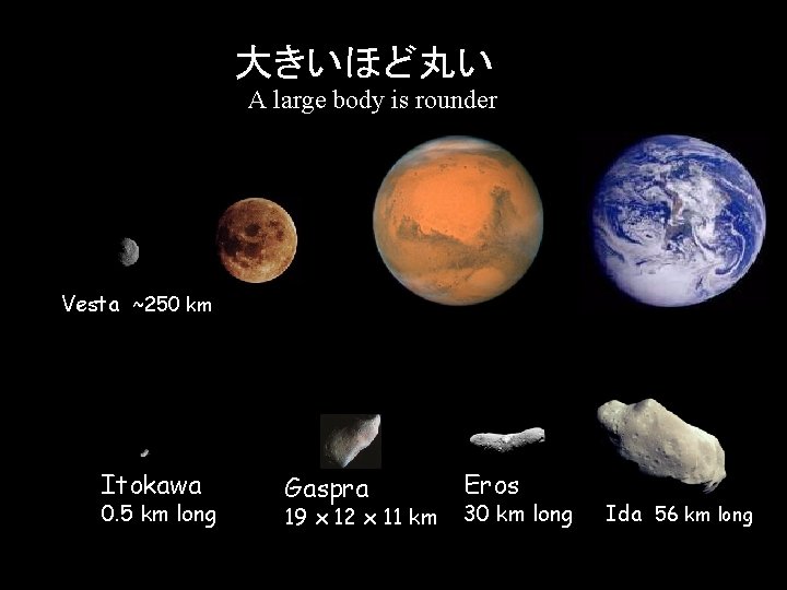 大きいほど丸い A large body is rounder Vesta ~250 km Itokawa 0. 5 km long