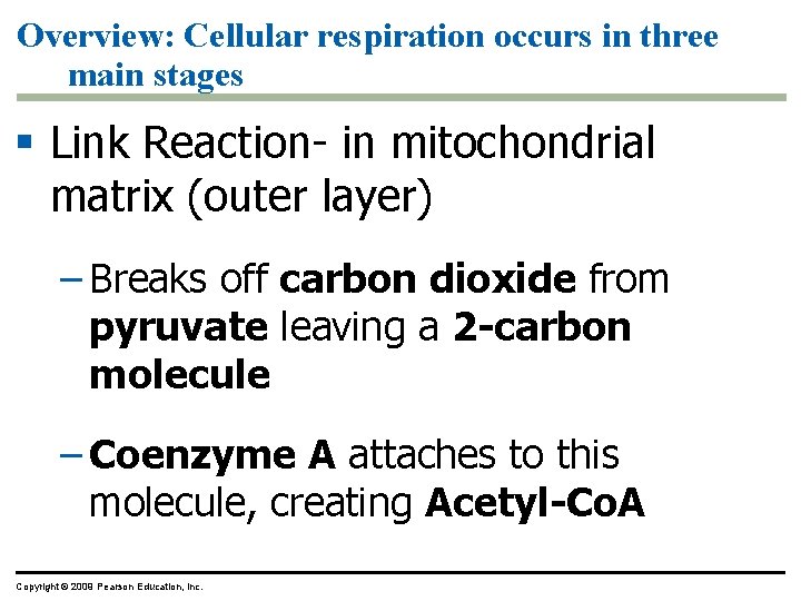 Overview: Cellular respiration occurs in three main stages § Link Reaction- in mitochondrial matrix