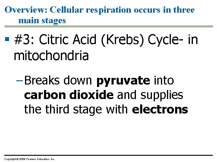 Overview: Cellular respiration occurs in three main stages § #3: Citric Acid (Krebs) Cycle-