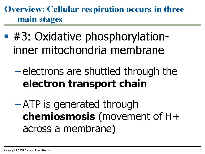 Overview: Cellular respiration occurs in three main stages § #3: Oxidative phosphorylationinner mitochondria membrane