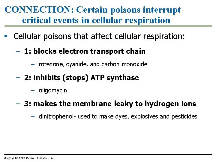 CONNECTION: Certain poisons interrupt critical events in cellular respiration § Cellular poisons that affect