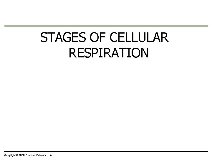 STAGES OF CELLULAR RESPIRATION Copyright © 2009 Pearson Education, Inc. 