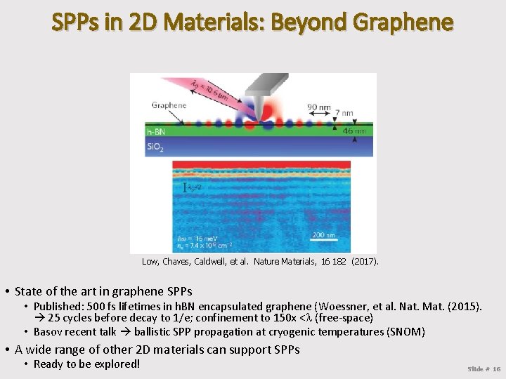 SPPs in 2 D Materials: Beyond Graphene Low, Chaves, Caldwell, et al. Nature Materials,