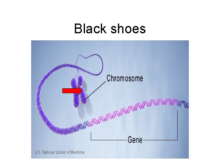 Black shoes Black shoes