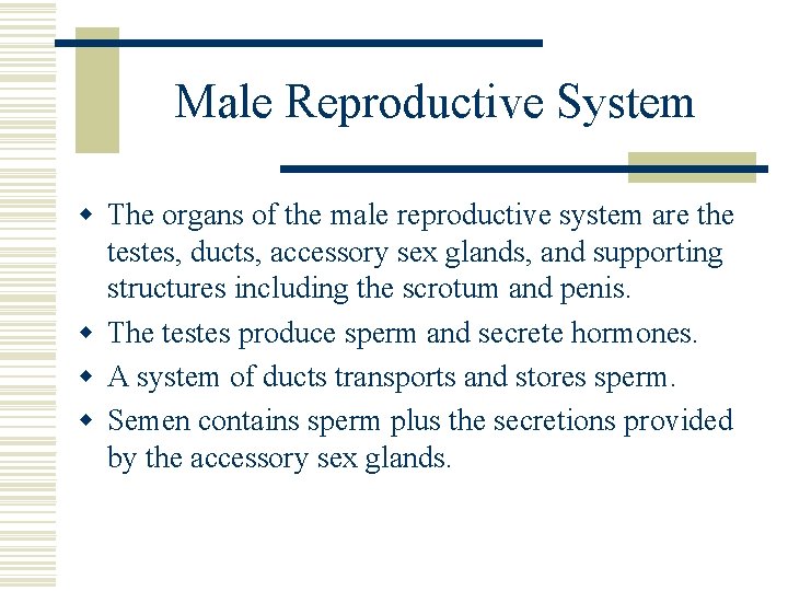 Male Reproductive System w The organs of the male reproductive system are the testes, Male Reproductive System w The organs of the male reproductive system are the testes,