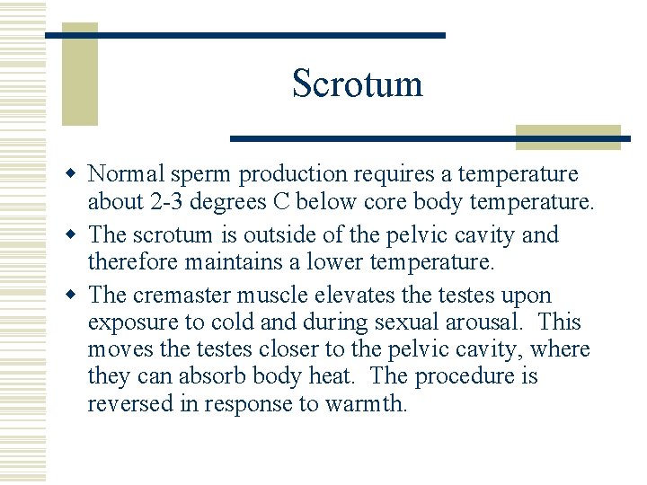 Scrotum w Normal sperm production requires a temperature about 2 -3 degrees C below Scrotum w Normal sperm production requires a temperature about 2 -3 degrees C below
