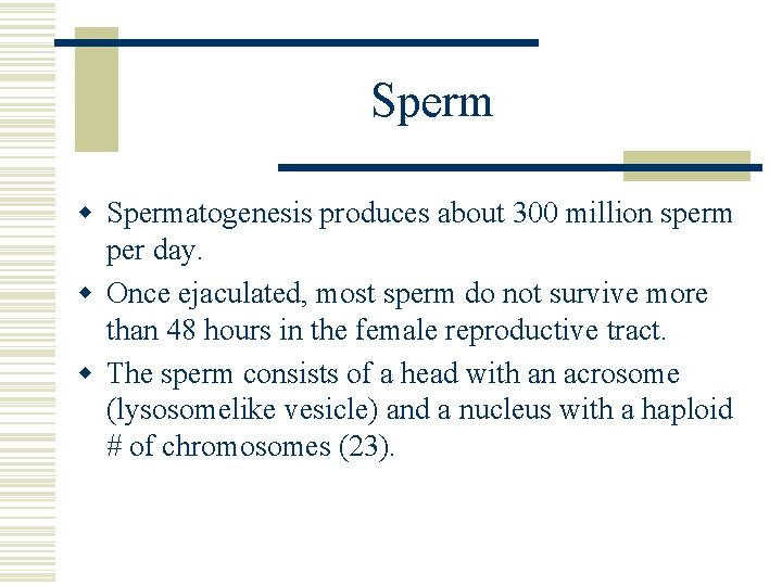 Sperm w Spermatogenesis produces about 300 million sperm per day. w Once ejaculated, most Sperm w Spermatogenesis produces about 300 million sperm per day. w Once ejaculated, most