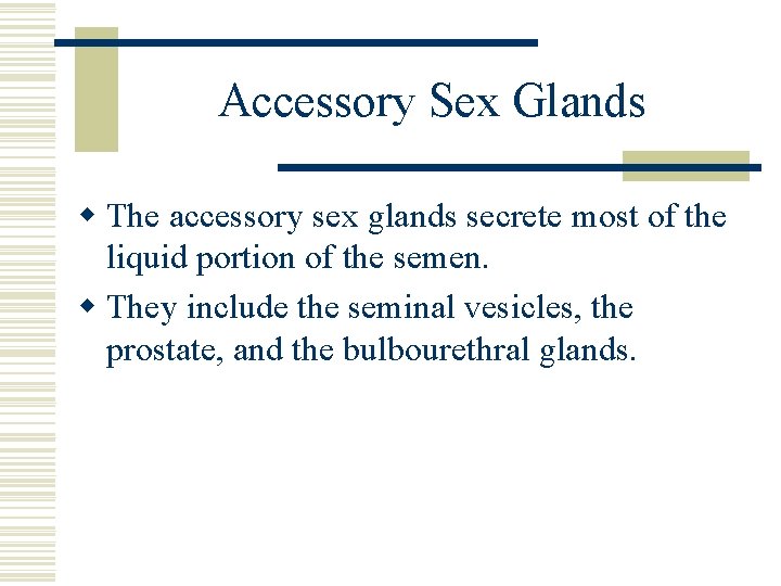 Accessory Sex Glands w The accessory sex glands secrete most of the liquid portion Accessory Sex Glands w The accessory sex glands secrete most of the liquid portion