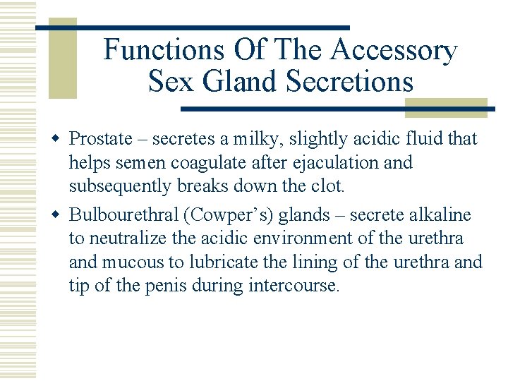 Functions Of The Accessory Sex Gland Secretions w Prostate – secretes a milky, slightly Functions Of The Accessory Sex Gland Secretions w Prostate – secretes a milky, slightly