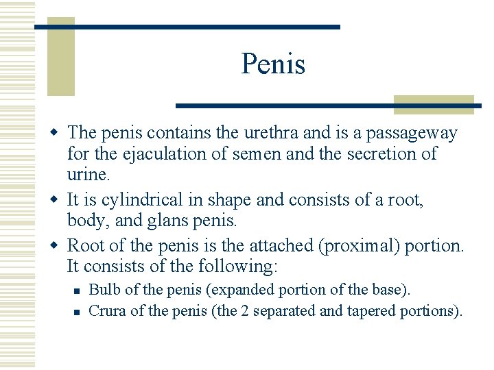 Penis w The penis contains the urethra and is a passageway for the ejaculation Penis w The penis contains the urethra and is a passageway for the ejaculation