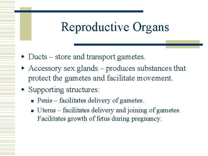 Reproductive Organs w Ducts – store and transport gametes. w Accessory sex glands – Reproductive Organs w Ducts – store and transport gametes. w Accessory sex glands –