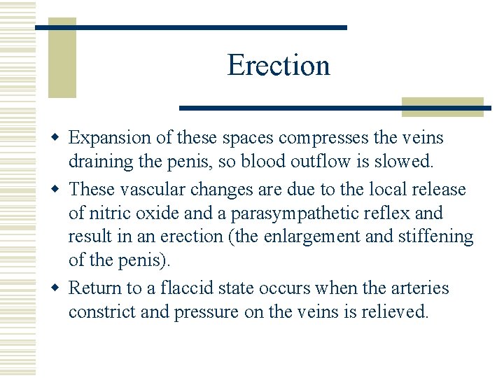 Erection w Expansion of these spaces compresses the veins draining the penis, so blood Erection w Expansion of these spaces compresses the veins draining the penis, so blood