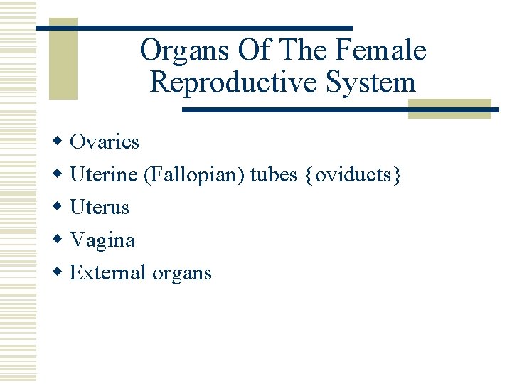 Organs Of The Female Reproductive System w Ovaries w Uterine (Fallopian) tubes {oviducts} w Organs Of The Female Reproductive System w Ovaries w Uterine (Fallopian) tubes {oviducts} w