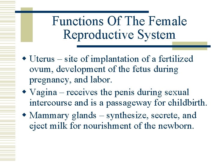 Functions Of The Female Reproductive System w Uterus – site of implantation of a Functions Of The Female Reproductive System w Uterus – site of implantation of a