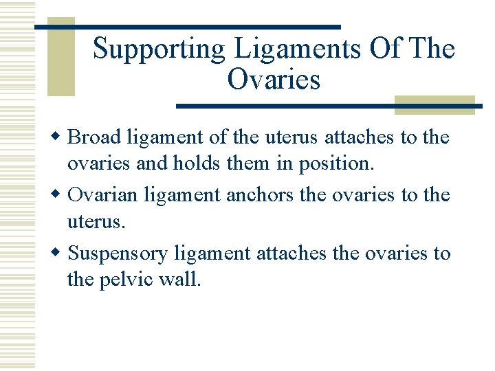 Supporting Ligaments Of The Ovaries w Broad ligament of the uterus attaches to the Supporting Ligaments Of The Ovaries w Broad ligament of the uterus attaches to the