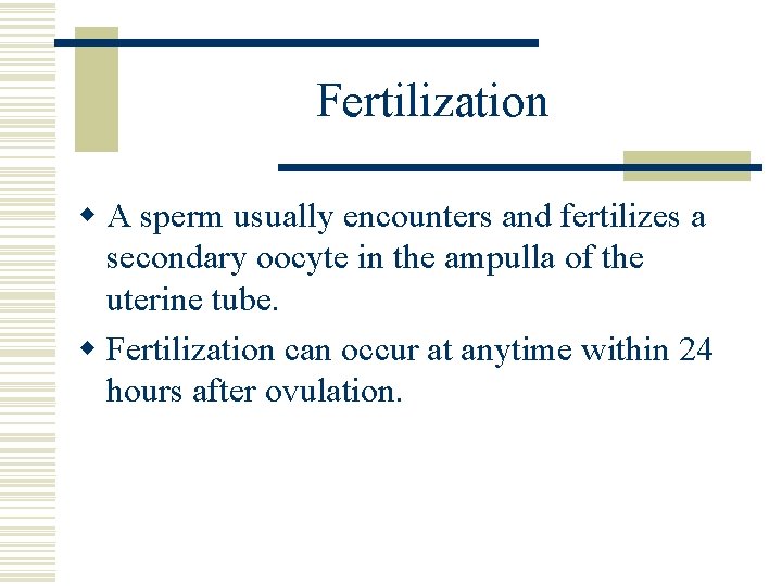 Fertilization w A sperm usually encounters and fertilizes a secondary oocyte in the ampulla Fertilization w A sperm usually encounters and fertilizes a secondary oocyte in the ampulla