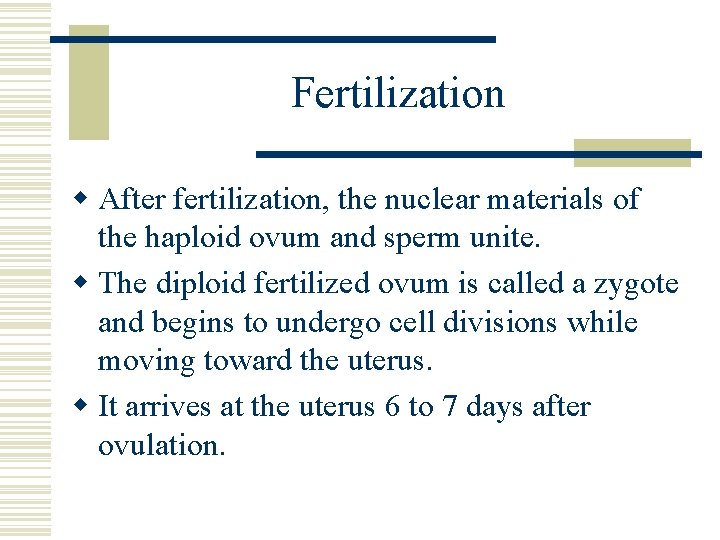 Fertilization w After fertilization, the nuclear materials of the haploid ovum and sperm unite. Fertilization w After fertilization, the nuclear materials of the haploid ovum and sperm unite.