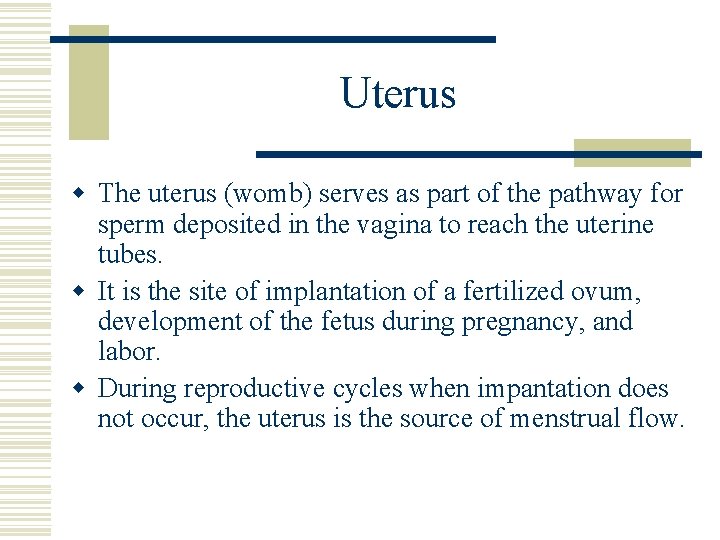 Uterus w The uterus (womb) serves as part of the pathway for sperm deposited Uterus w The uterus (womb) serves as part of the pathway for sperm deposited