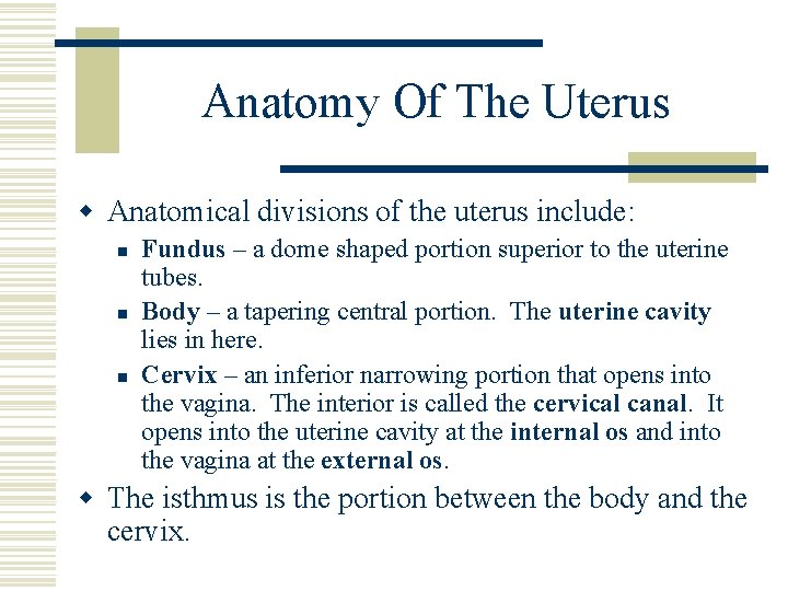 Anatomy Of The Uterus w Anatomical divisions of the uterus include: n n n Anatomy Of The Uterus w Anatomical divisions of the uterus include: n n n