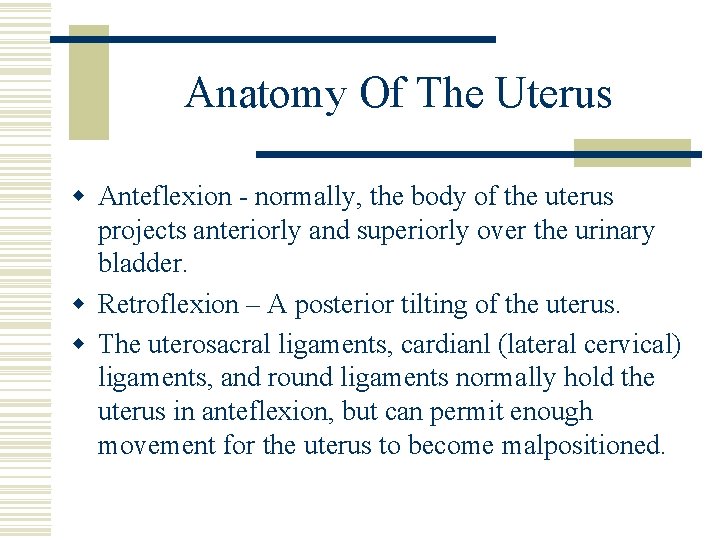 Anatomy Of The Uterus w Anteflexion - normally, the body of the uterus projects Anatomy Of The Uterus w Anteflexion - normally, the body of the uterus projects