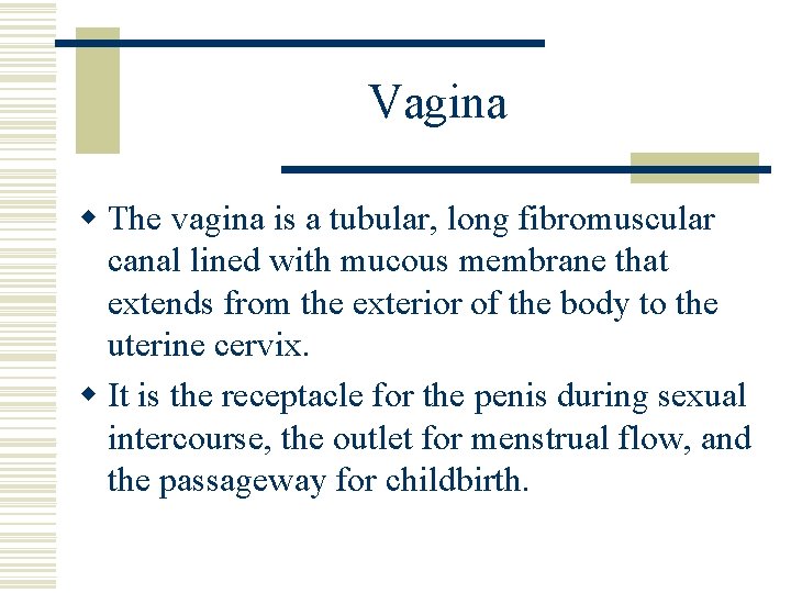 Vagina w The vagina is a tubular, long fibromuscular canal lined with mucous membrane Vagina w The vagina is a tubular, long fibromuscular canal lined with mucous membrane