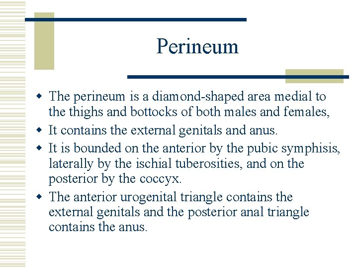 Perineum w The perineum is a diamond-shaped area medial to the thighs and bottocks Perineum w The perineum is a diamond-shaped area medial to the thighs and bottocks