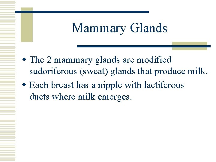 Mammary Glands w The 2 mammary glands are modified sudoriferous (sweat) glands that produce Mammary Glands w The 2 mammary glands are modified sudoriferous (sweat) glands that produce