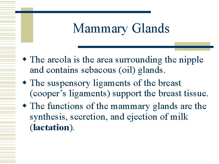 Mammary Glands w The areola is the area surrounding the nipple and contains sebacous Mammary Glands w The areola is the area surrounding the nipple and contains sebacous
