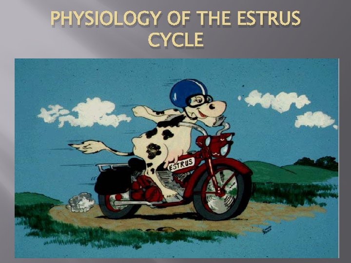 PHYSIOLOGY OF THE ESTRUS CYCLE 
