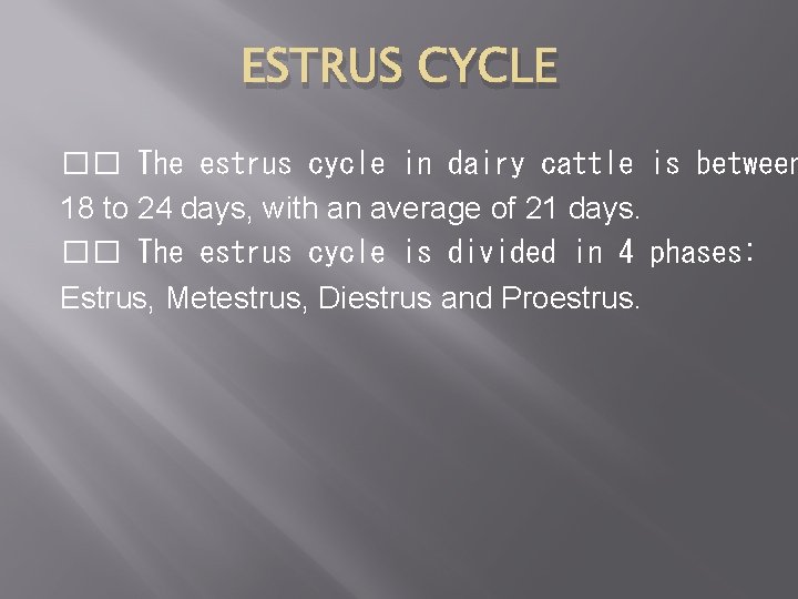 ESTRUS CYCLE �� The estrus cycle in dairy cattle is between 18 to 24