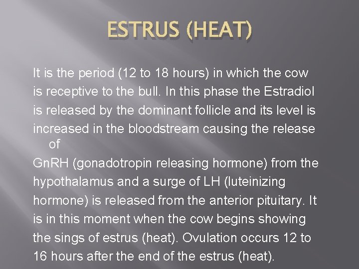 ESTRUS (HEAT) It is the period (12 to 18 hours) in which the cow