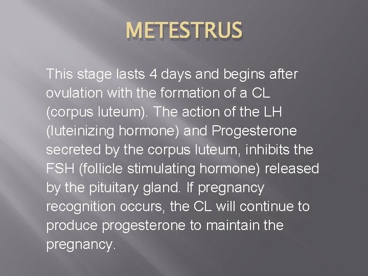 METESTRUS This stage lasts 4 days and begins after ovulation with the formation of