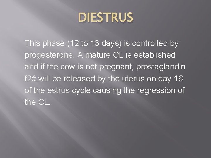 DIESTRUS This phase (12 to 13 days) is controlled by progesterone. A mature CL