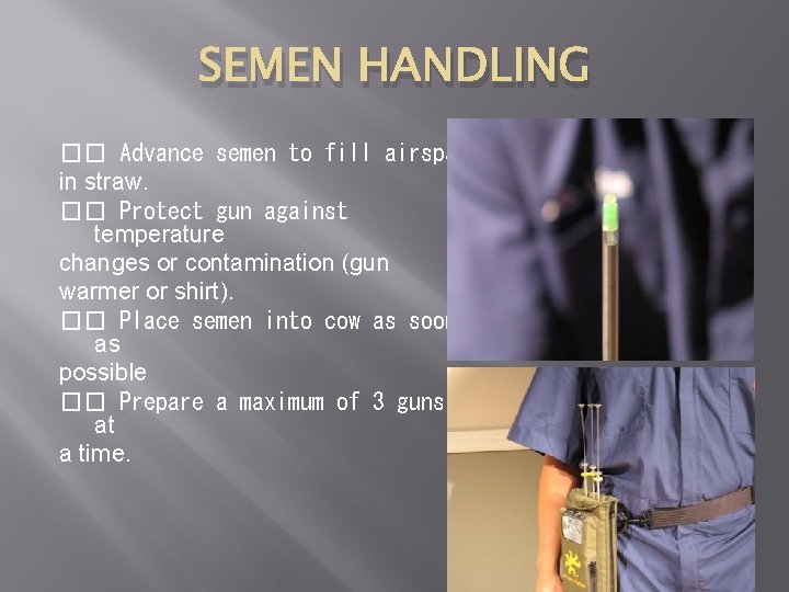 SEMEN HANDLING �� Advance semen to fill airspace in straw. �� Protect gun against