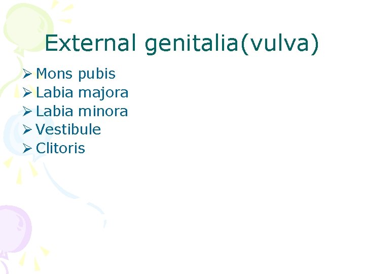 External genitalia(vulva) Ø Mons pubis Ø Labia majora Ø Labia minora Ø Vestibule Ø