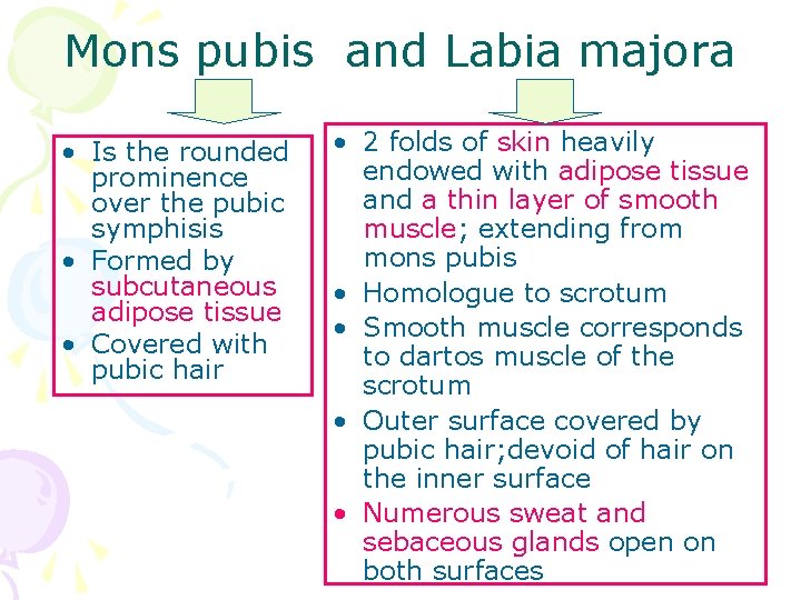 Mons pubis and Labia majora • Is the rounded prominence over the pubic symphisis