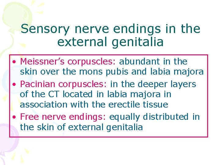 Sensory nerve endings in the external genitalia • Meissner’s corpuscles: abundant in the skin
