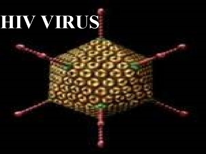 HIV VIRUS 