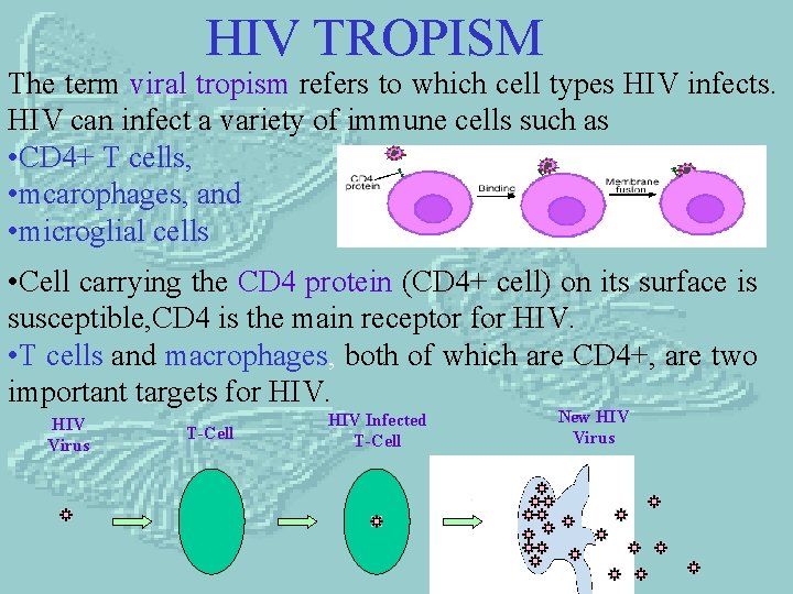 HIV TROPISM The term viral tropism refers to which cell types HIV infects. HIV