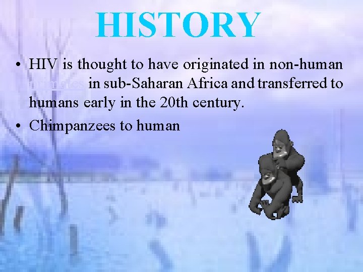 HISTORY • HIV is thought to have originated in non-human primates in sub-Saharan Africa