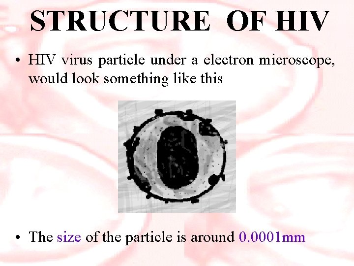 STRUCTURE OF HIV • HIV virus particle under a electron microscope, would look something