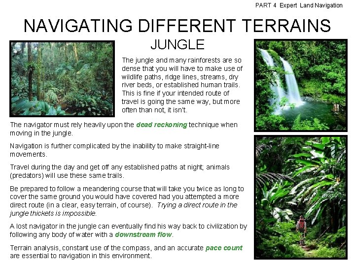 PART 4 Expert Land Navigation NAVIGATING DIFFERENT TERRAINS JUNGLE The jungle and many rainforests