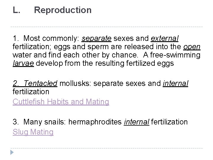 L. Reproduction 1. Most commonly: separate sexes and external fertilization; eggs and sperm are